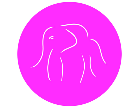 Drunk Elephant