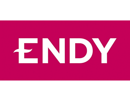 Endy