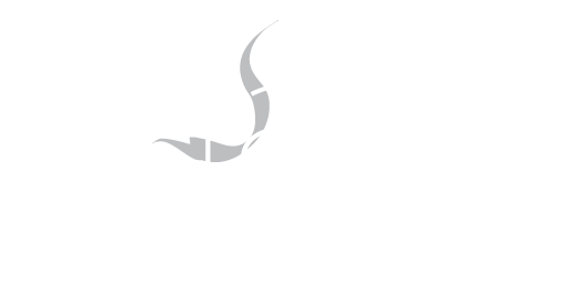 Giant Vapes logo