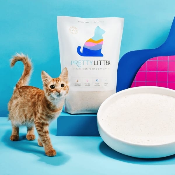 PrettyLitter logo
