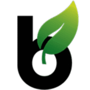 Binoid logo