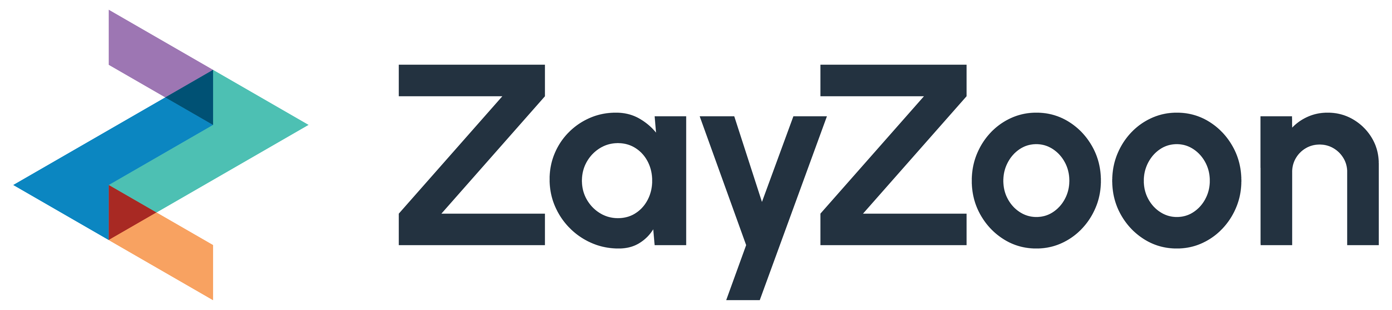 ZayZoon logo