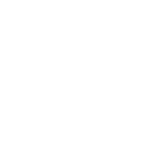 True Bites logo